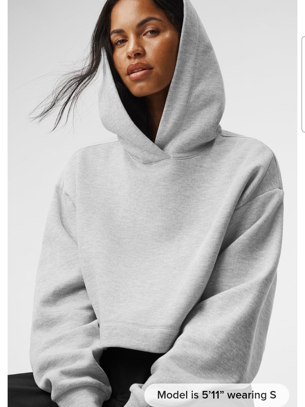 ALO Yoga Light Gray Cropped Hoodie